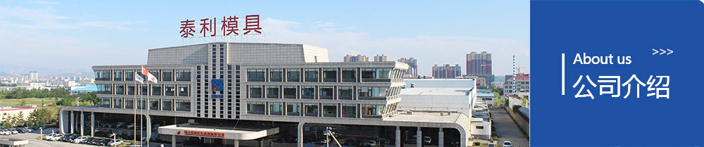 烟台泰利汽车模具